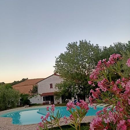 Agriturismo La Locandiera Montemerano Dış mekan fotoğraf
