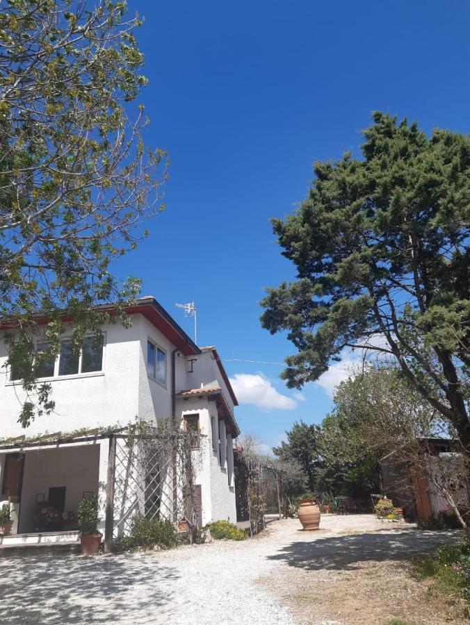 Agriturismo La Locandiera Montemerano Dış mekan fotoğraf