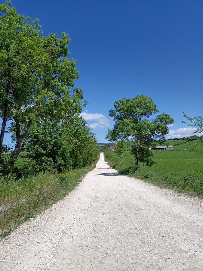 Agriturismo La Locandiera Montemerano Dış mekan fotoğraf