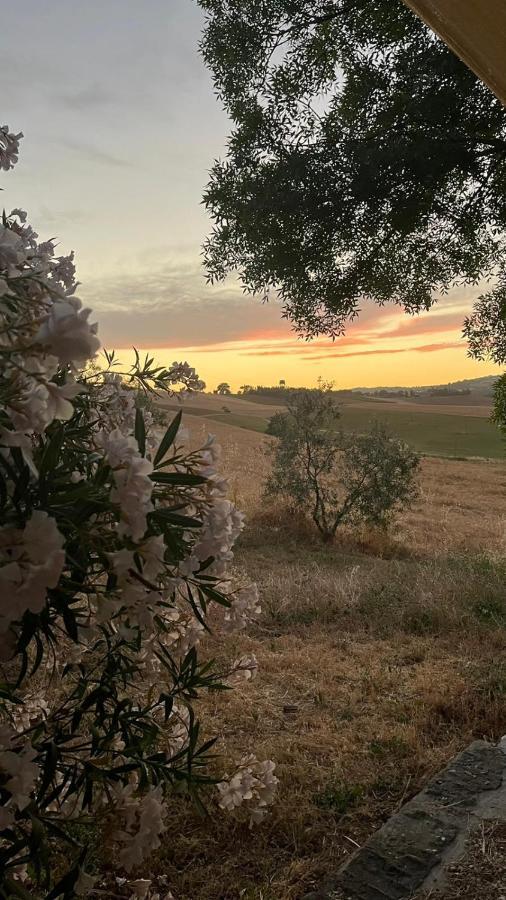 Agriturismo La Locandiera Montemerano Dış mekan fotoğraf