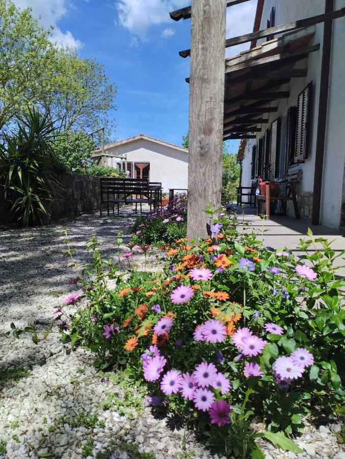 Agriturismo La Locandiera Montemerano Dış mekan fotoğraf