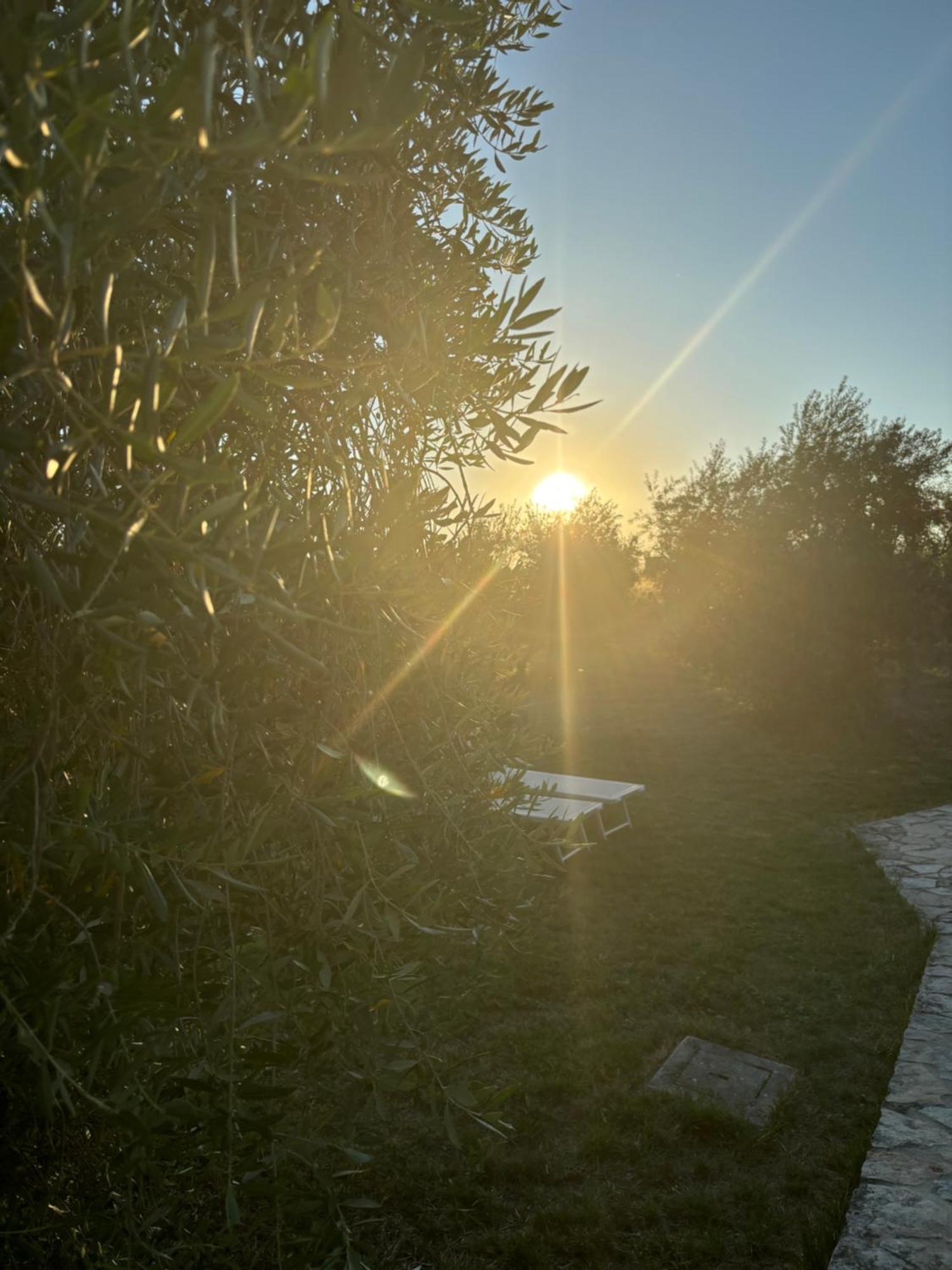 Agriturismo La Locandiera Montemerano Dış mekan fotoğraf